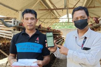 Bantu Kemajuan Pertanian, Telkom University Luncurkan Aplikasi Smart Farm - JPNN.com Jatim