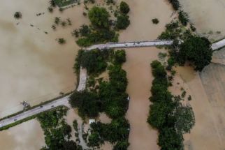 Tanggul Kali Ingas Jebol, Sawah 874 Hektare di Bojonegoro Terendam Banjir - JPNN.com Jatim