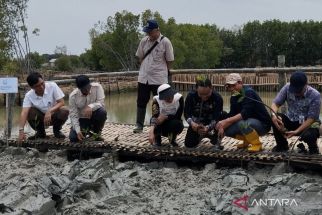 Menteri LH Targetkan 800 Hektare Mangrove di Demak untuk Atasi Perubahan Iklim - JPNN.com Jateng