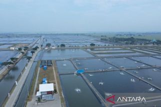 Selain Meningkatkan Perekonomian, Revitalisasi Tambak di Subang Mampu Meminimalisir Banjir Rob - JPNN.com Jabar