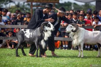 Kementerian Imigrasi dan Pemasyarakatan Siapkan Pengembangan Domba Garut di Nusakambangan - JPNN.com Jabar