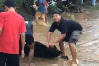 Terendam Banjir, Aspal di Jalan Desa Sidorejo Ngawi Terkelupas - JPNN.com Jatim