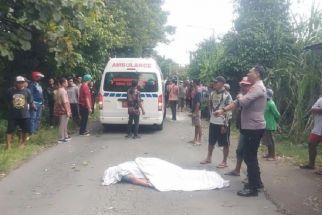 Pelajar di Kediri Tewas Tertimpa Pohon Tumbang  - JPNN.com Jatim