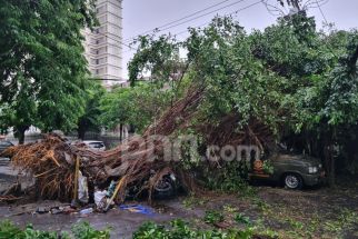 Semarang Dikepung 22 Ribu Pohon, Cuaca Ekstrem Mengancam Keselamatan - JPNN.com Jateng