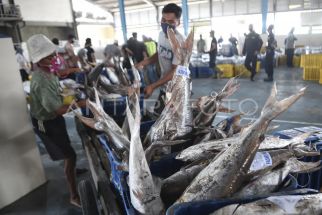 DPRD Minta Dinas Perikanan Tingkatkan PAD dari 12 TPI yang Ada di Karawang - JPNN.com Jabar