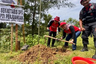 Dukung Kelestarian Alam, PDI Perjuangan Jatim Tanam 2.500 Bibit Pohon di Malang - JPNN.com Jatim