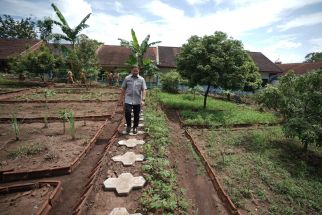 SMAN 1 Tanggul Sulap Lahan Kosong Jadi Kebun Sehat, Bisa Cetak Wirausaha Muda - JPNN.com Jatim