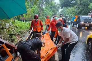 Kecelakaan Maut di Blega, Truk Tabrak Pohon & Terjun ke Parit, Sopir Tewas Terjepit - JPNN.com Jatim