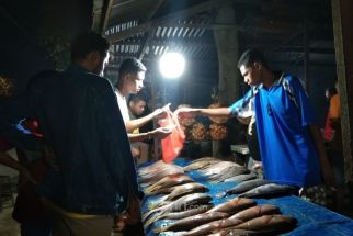 Tingkat Konsumsi Ikan di Jogja Masih Rendah - JPNN.com Jogja