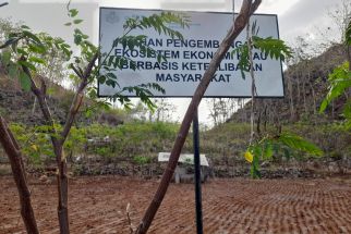 Cerita dari 2 Desa di Gunungkidul, Sumber Biomassa Indonesia di Masa Depan - JPNN.com Jogja