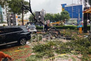 Hujan Deras Disertai Angin di Surabaya, 7 Pohon Tumbang 2 Bangunan Runtuh - JPNN.com Jatim