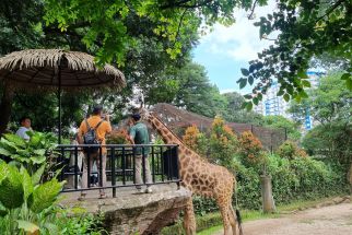 Pungli Parkir di Kebun Binatang Bandung, Bus Pariwisata Diminta Rp150 Ribu - JPNN.com Jabar