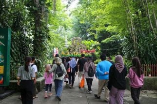 Yogyakarta Dikunjungi Banyak Pelancong, Tetapi Ada yang Harus Dibenahi - JPNN.com Jogja