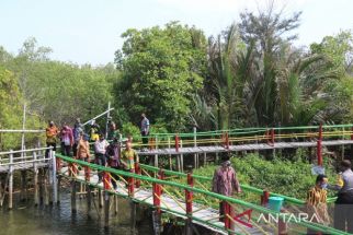 Soal Pengembangan Wisata Mangrove Kadilangu, Begini Rencana Pemkab Kulon Progo - JPNN.com Jogja