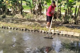 Kulon Progo Ingin Genjot Produksi Perikanan, Pasang Target 16 Ribu Ton - JPNN.com Jogja