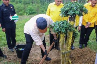 Terungkap, Ini Alasan Airlangga Hartarto Boyong Petinggi Golkar ke IKN Nusantara - JPNN.com Kaltim