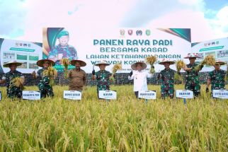 Senyum Bahagia Jenderal Dudung Abdurachman Panen Raya Padi di Kutai Kartanegara - JPNN.com Kaltim