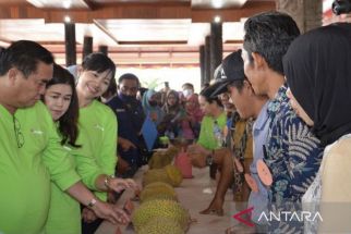 Gaet Wisatawan, Dispar Kubar Gelar Festival Durian Sendawar - JPNN.com Kaltim