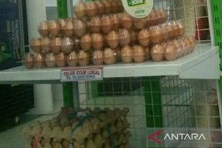 DPTPH Buka-bukaan Soal Penyebab Harga Telur Ayam di Kaltim yang Terus Meroket - JPNN.com Kaltim