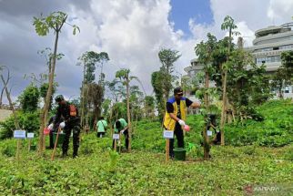 Restorasi Hutan IKN, BPPW Kaltim Ajak Generasi Muda Menggalakkan Aksi Tanam Pohon - JPNN.com Kaltim