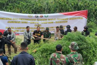 Musnahkan 40,3 Ton Ganja di Aceh, 950 Juta Jiwa di Indonesia Selamat - JPNN.com Lampung