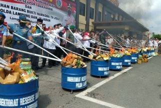 Polda Lampung Musnahkan Ratusan Kilogram Narkotika, Nilainya Fantastis    - JPNN.com Lampung