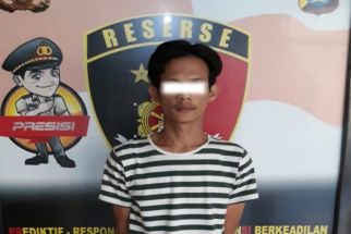 Gara-gara Burung Dara Pemuda di Bandar Lampung Dibekuk Polisi, Begini Kisahnya - JPNN.com Lampung