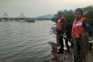 2 Buaya di Pulau Pasaran Membuat Warga Khawatir, Tim Rescue Damkar Temukan Lobangnya - JPNN.com Lampung
