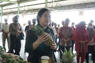 Kata Puan Maharani Lampung Pengekspor Nanas Kemasan Terbesar Dunia, Keren - JPNN.com Lampung