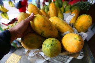 Ingin Menurunkan Berat Badan? Anda Konsumsi Saja Buah-buahan Ini - JPNN.com Lampung