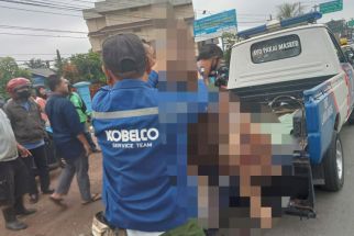 Pria Lansia di Bandar Lampung Tewas Tertabrak Truk, Ipda Gunawan Beberkan Kronologinya - JPNN.com Lampung