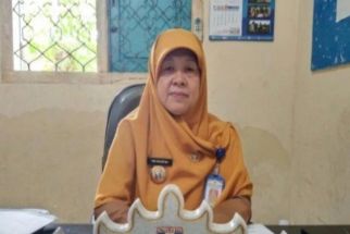 Kabar Gembira, Pemkab Pesisir Barat Menaikkan Gaji Honorer, Sebegini Nilainya  - JPNN.com Lampung