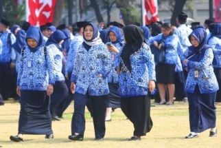 BKN Menyampaikan Info Soal PPPK Model Baru, Jangan Kaget  - JPNN.com Lampung