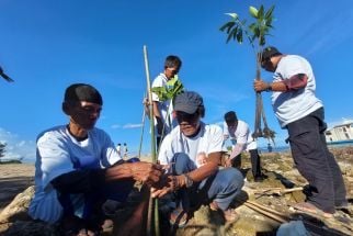 Komunitas Nelayan Pesisir Lampung Ajak Warga Pesawaran Tanam Hutan Mangrove - JPNN.com Lampung