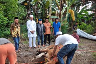 PWI Lampung Potong 4 Hewan Kurban Sapi, 1 dari Gubernur Arinal Djunaidi  - JPNN.com Lampung