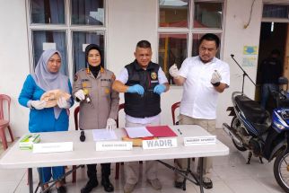 Selongsong dan Peluru Aktif Ditemukan saat Aksi Tembak-tembakan dengan Pelaku Cura - JPNN.com Lampung