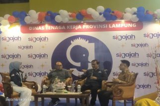 Terungkap, Ini Alasan Para PMI Lebih Berminat Kerja ke Luar Negeri Meski Jauh dari Keluarga - JPNN.com Lampung