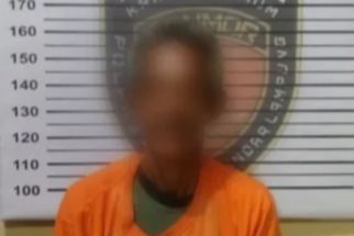Pria Paruh Baya Berbuat Pelecehan Seksual Terhadap Kedua Anak Tirinya Hingga Hamil - JPNN.com Lampung
