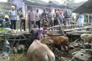 Kebut Vaksinasi PMK di Lombok Tengah, Pakai Produk Perancis - JPNN.com NTB
