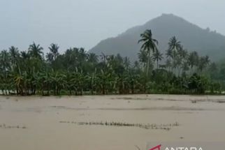 Ratusan Hektare Sawah di NTB Terendam Banjir - JPNN.com NTB