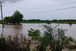 Hujan Lebat di Sumbawa, 250 Hektare Sawah Terendam Banjir - JPNN.com NTB