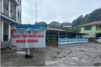 Masjid Raya Jayapura Berbagi Daging Kurban ke Warga Non-Muslim - JPNN.com Papua