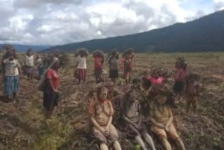 Warga Lanny Jaya Papua Terancam Kelaparan Akibat Cuaca Ekstrem, Mohon Bantuannya - JPNN.com Papua