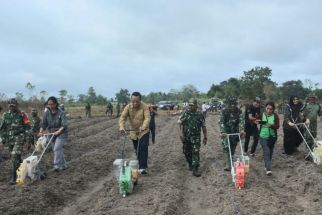 Tingkatkan Ketahanan Pangan, Danrem 174/ATW Merauke Gandeng BPTPP Lakukan Ini - JPNN.com Papua