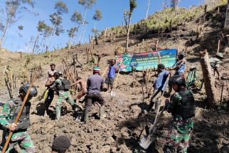Satgas Yonif Mekanis 203/AK Membuka Lahan untuk Berkebun di Lanny Jaya - JPNN.com Papua