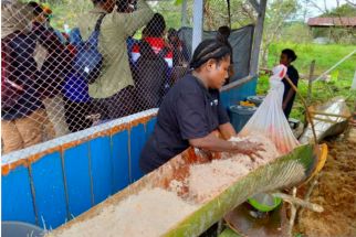 Pohon Sagu Sebagai Sumber Pangan Utama, Begini Penjelasannya - JPNN.com Papua