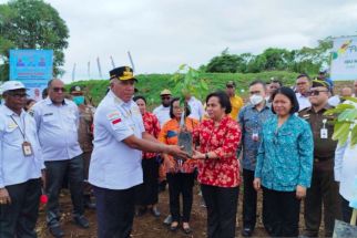 Pemprov Papua Barat Siapkan Lahan 79,4 Hektare untuk Mendukung Program Ketahanan Pangan Nasional  - JPNN.com Papua