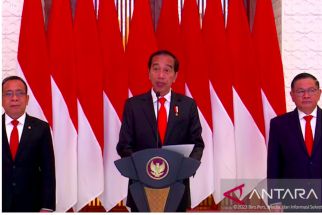 Jokowi Merespons Putusan MK Soal Perpanjangan Masa Jabatan Pimpinan KPK - JPNN.com Papua