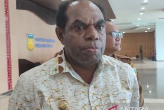Presiden Jokowi Bakal Panen Jagung di Arso Perbatasan RI-PNG - JPNN.com Papua