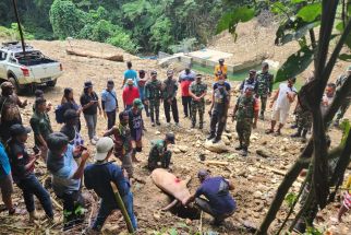 Begini Perintah Pangkostrad untuk Tindak Lanjuti Keluhan Masyarakat Perbatasan RI-PNG - JPNN.com Papua